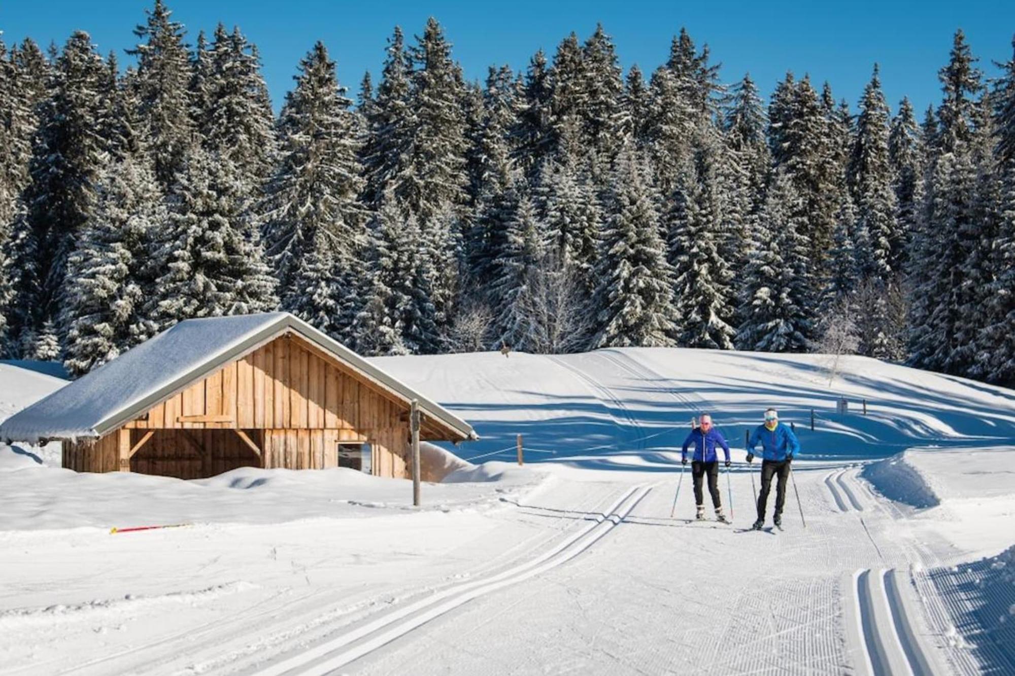 Superbe Appartement Au Pied Des Pistes -Le Chamois Les Déserts Exteriör bild